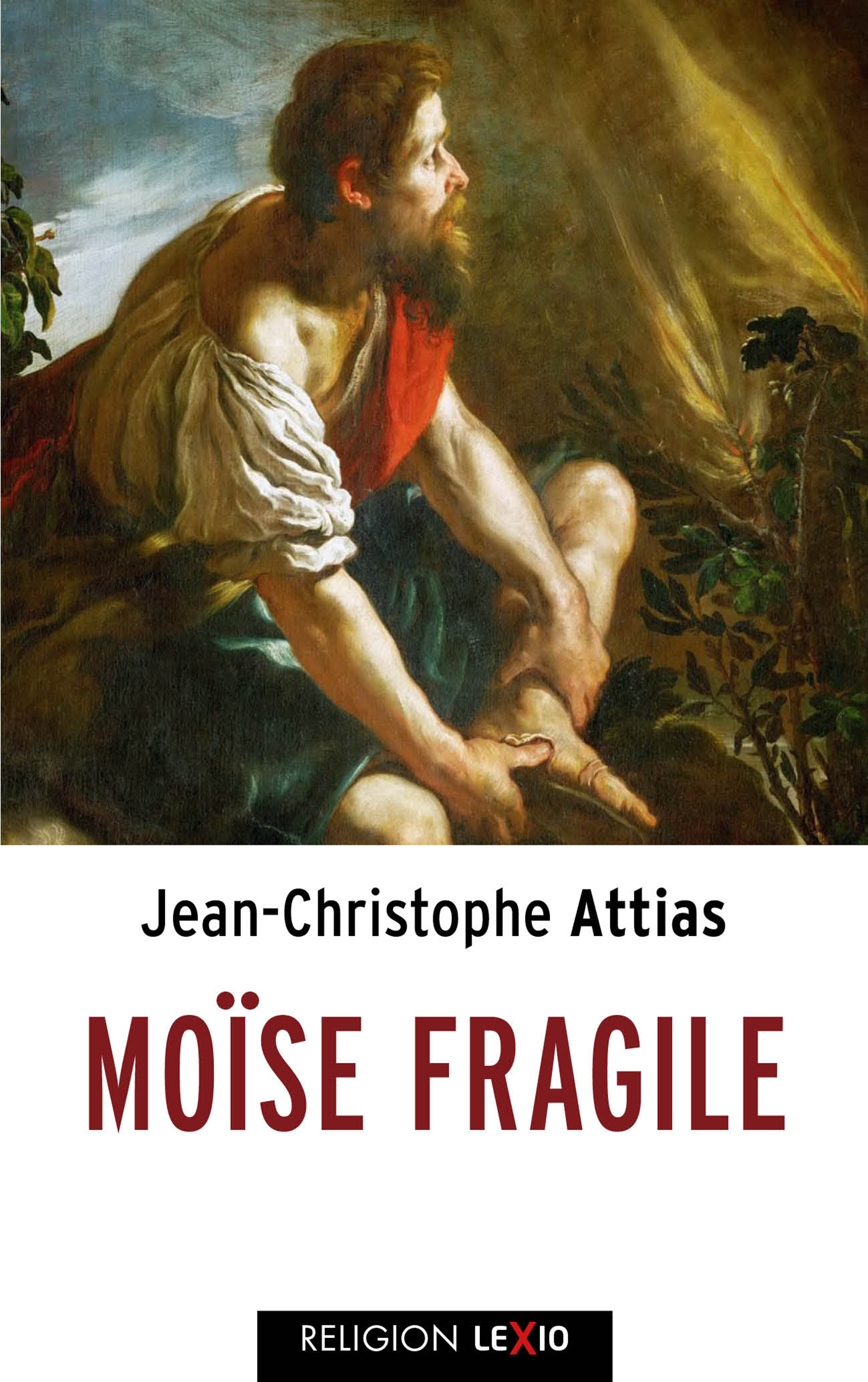 Mo&iuml;se fragile.jpg (1.25 MB)