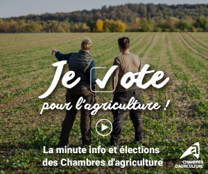 BANNIERE_Elections-CA-2025_300x250.jpg (56 KB)